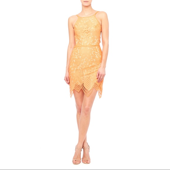FOR LOVE & LEMONS Orange Lace Tie Back Mini Dress - Picture 9 of 16